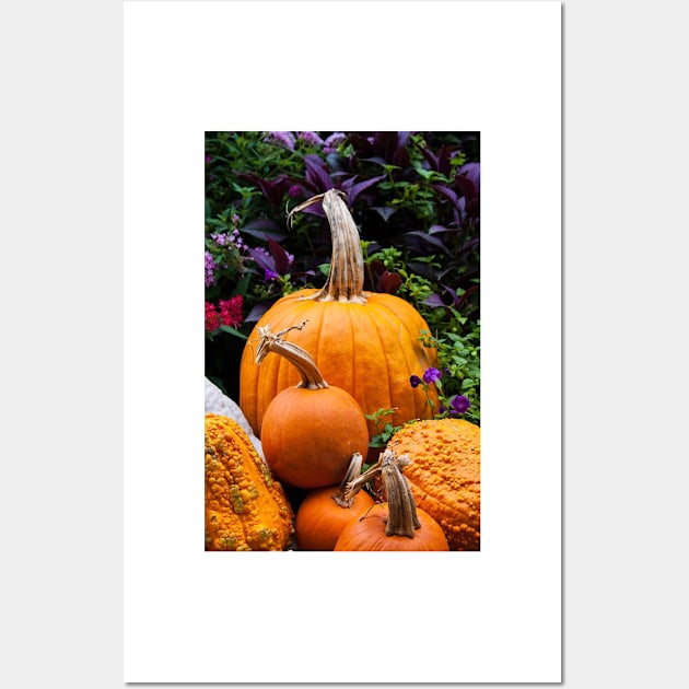 Pumpkin Patch Wall Art by Jacquelie